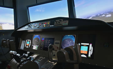 combat flight sim simulation